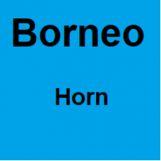 Borneo Horn - 1 Kilo - Starting at € 45,- per kilo
